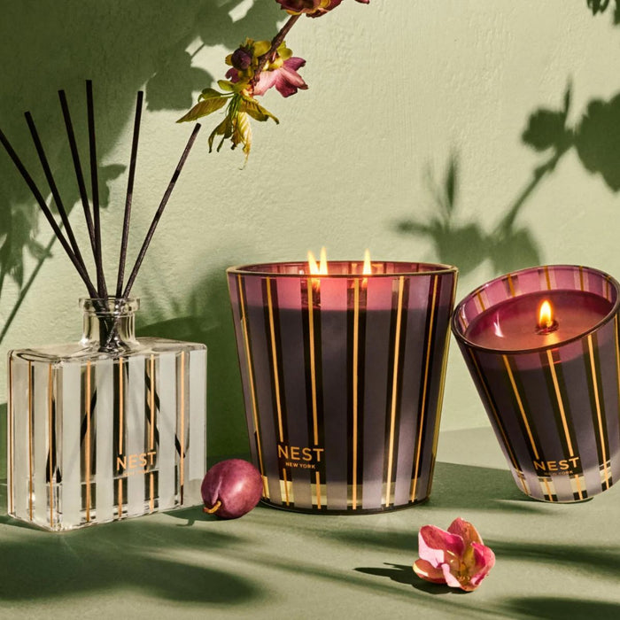 NEST New York  Autumn Plum Classic Candle