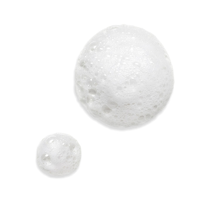 Estée Lauder Nutritious 2-in-1 Foam Cleanser