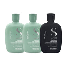 Alfaparf Milano Scalp Renew Energizing Shampoo Duo with Complimentary Alfaparf Detox Shampoo
