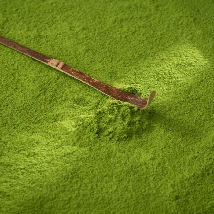 Health Bar Traditional Matcha Spoon Chashaku – Golden Bamboo