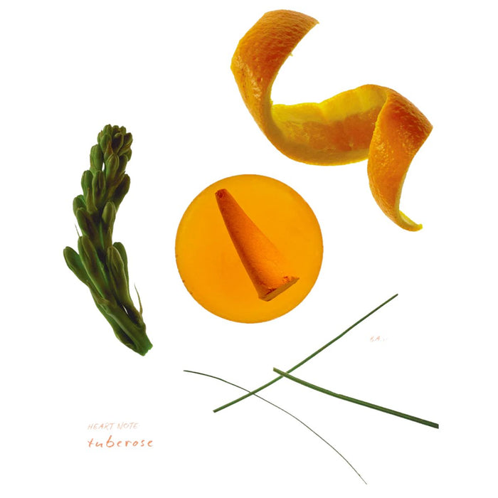 Ripple+ Mimosa Incense | Manuka +Cedarwood Incense Cones