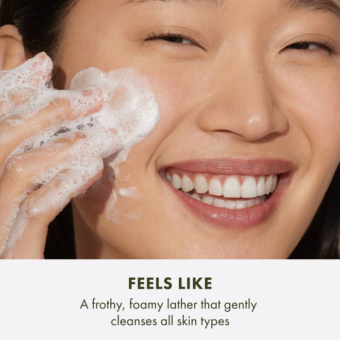 Origins Checks and Balances Frothy Face Wash