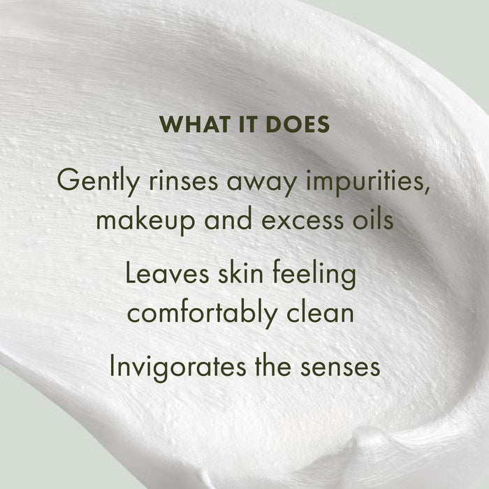 Origins Checks and Balances Frothy Face Wash