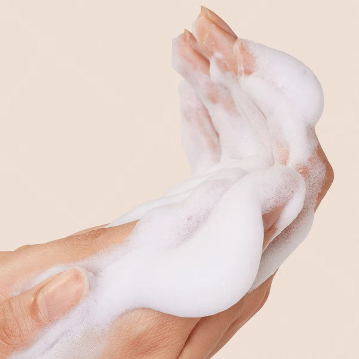 Origins Checks and Balances Frothy Face Wash