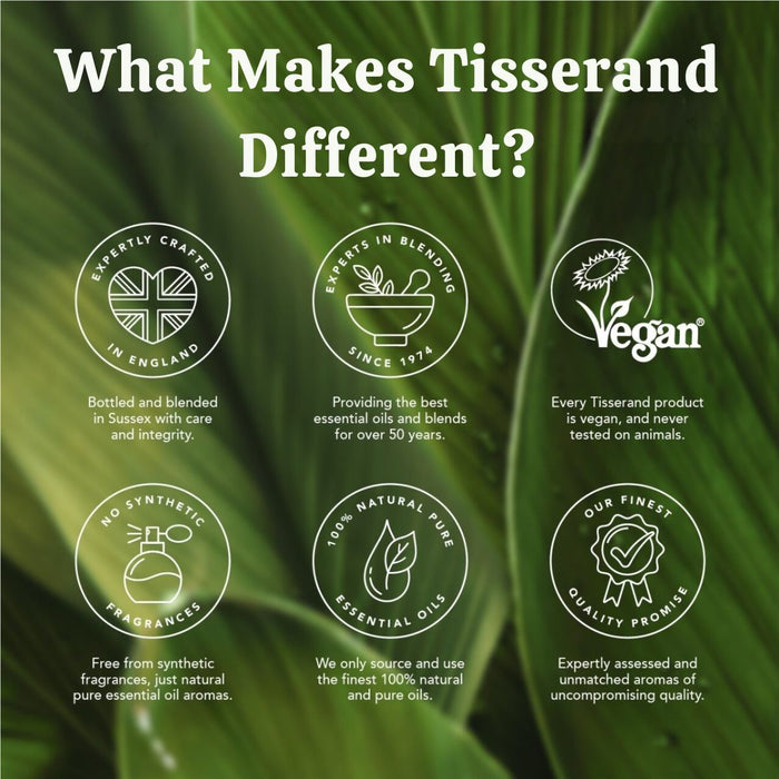 Tisserand Energy Routine Duo