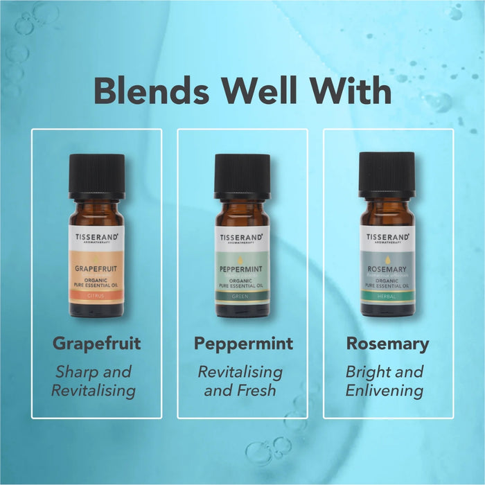 Tisserand Eucalyptus Organic Essential Oil 9ml