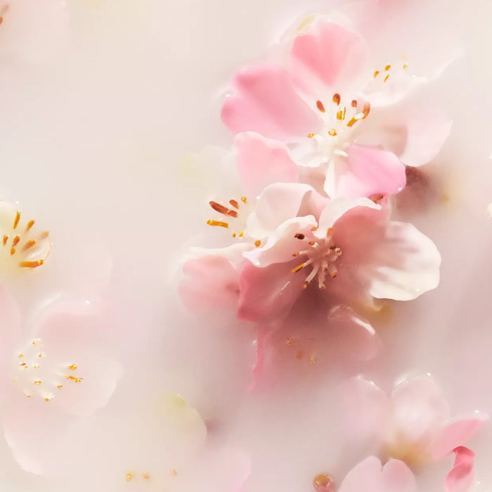 Rituals The Ritual of Sakura Scented Candle