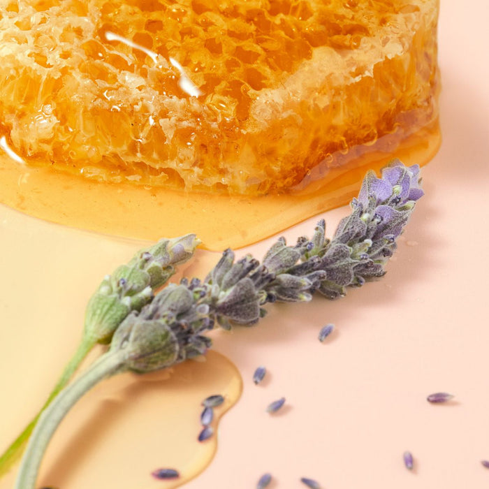 NUXE Reve De Miel Honey Lip Care